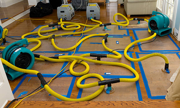Professional Crawl Space Water Removal technician working in Cologne, NJ